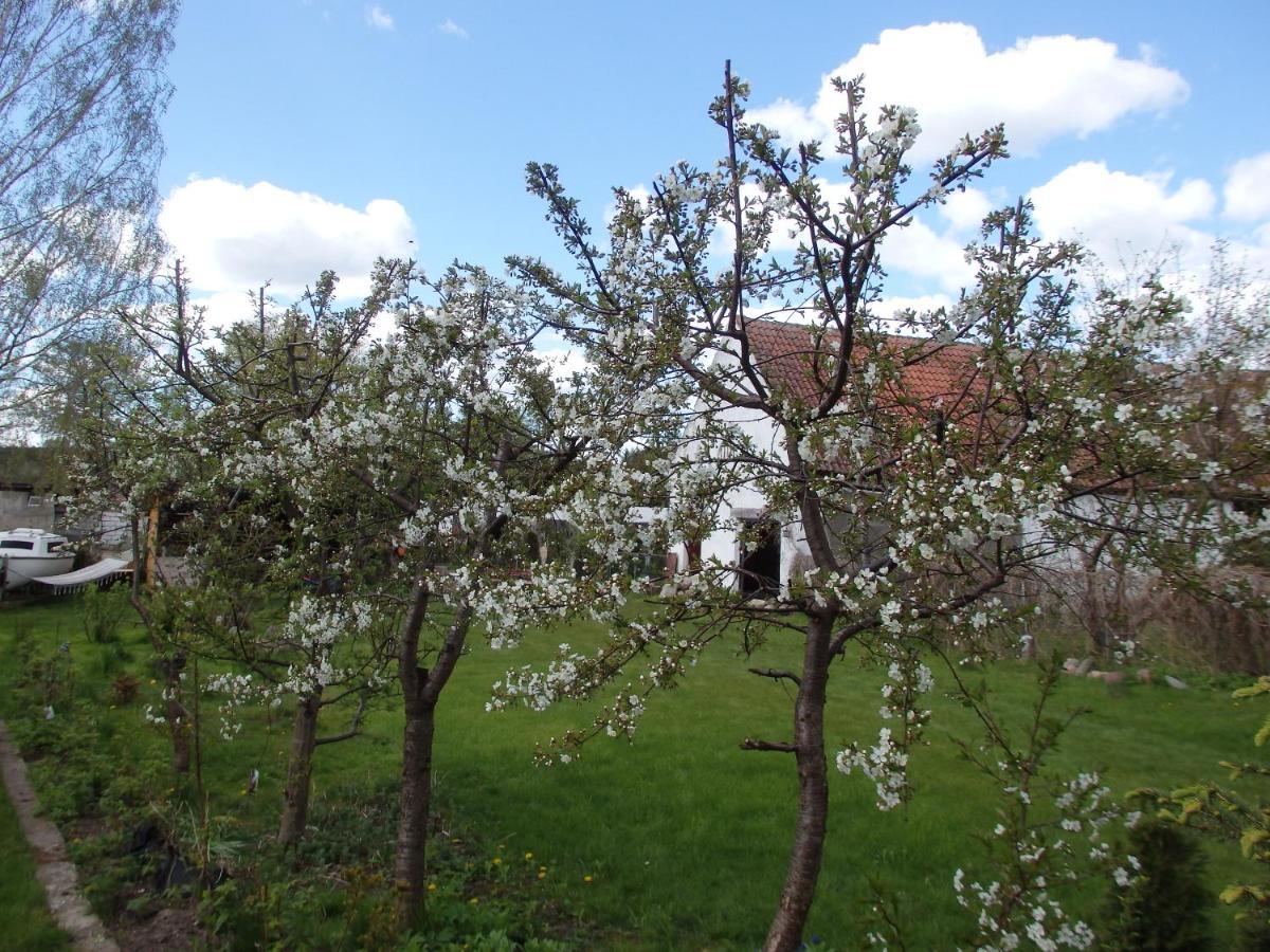 Gradzkie  Krakowskie Mazury מראה חיצוני תמונה