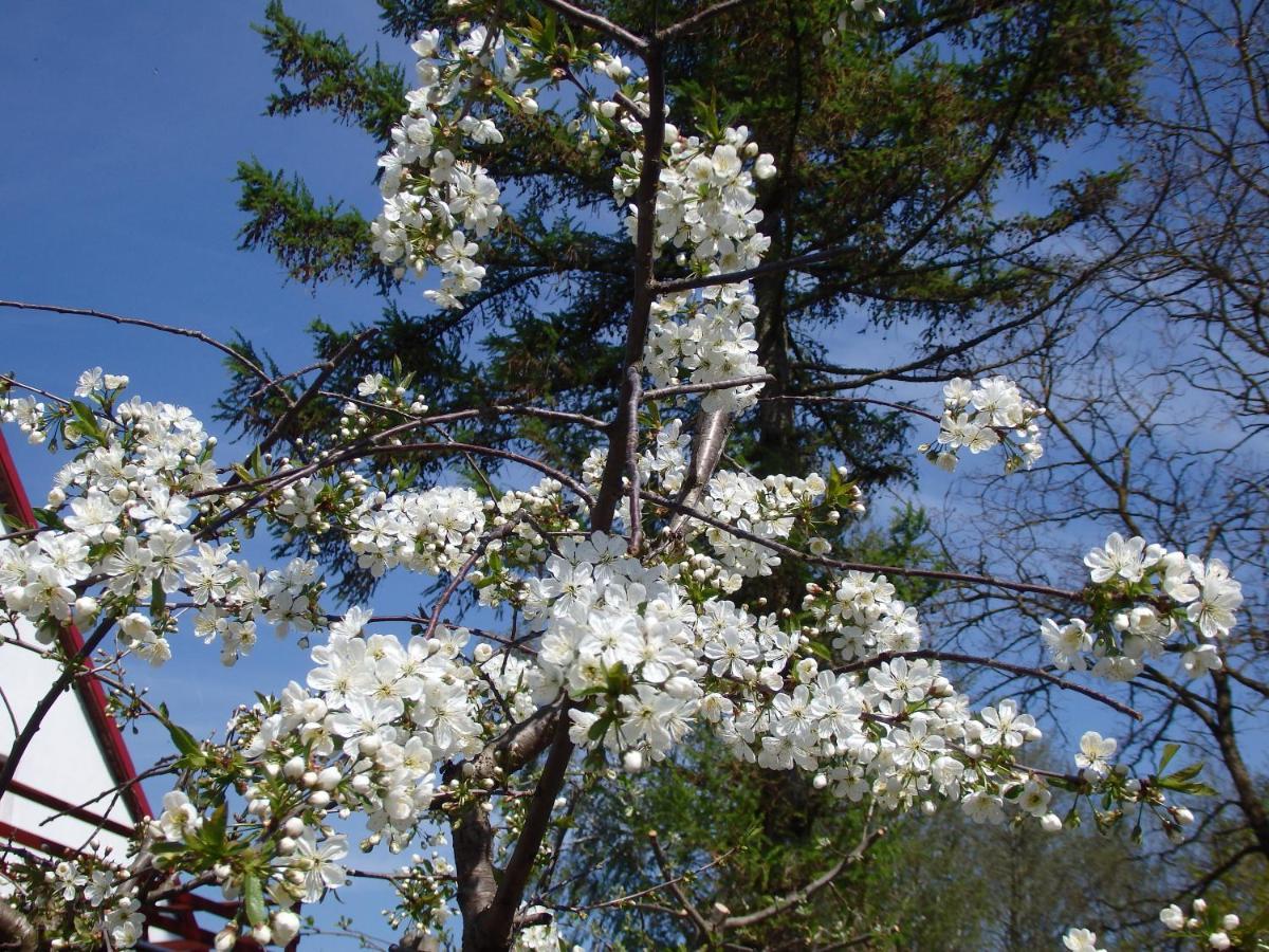 Gradzkie  Krakowskie Mazury מראה חיצוני תמונה